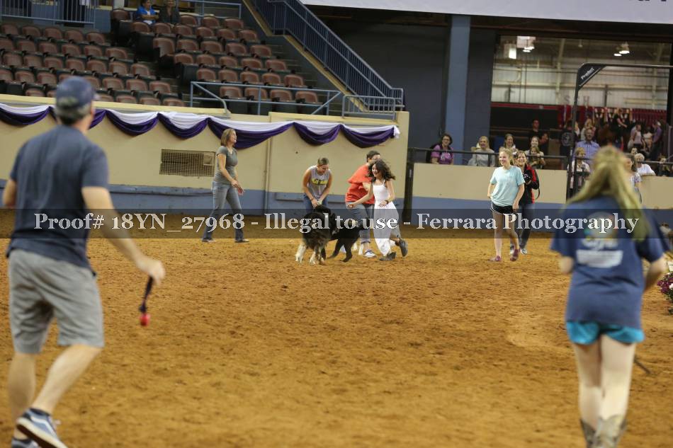 Proof 18YN_27968