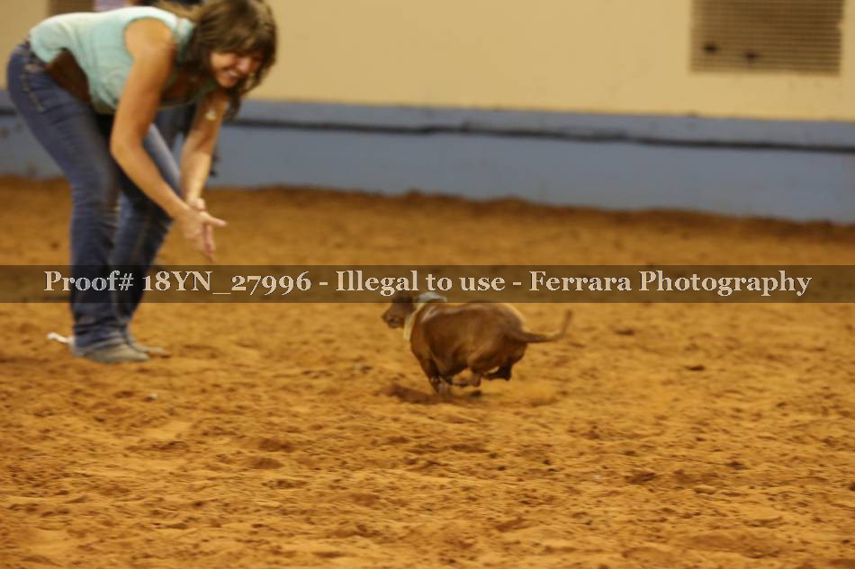 Proof 18YN_27996