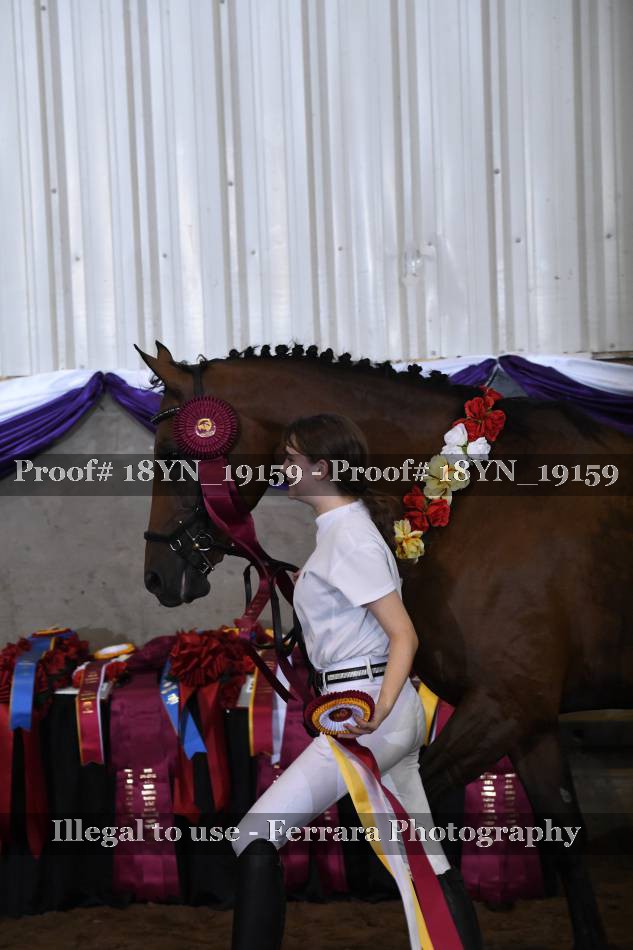Proof 18YN_19159