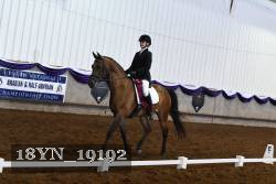 18YN_19192 proof