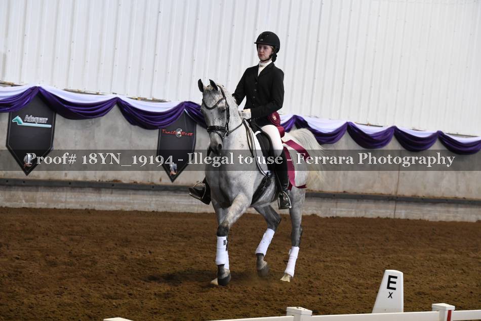 Proof 18YN_19194