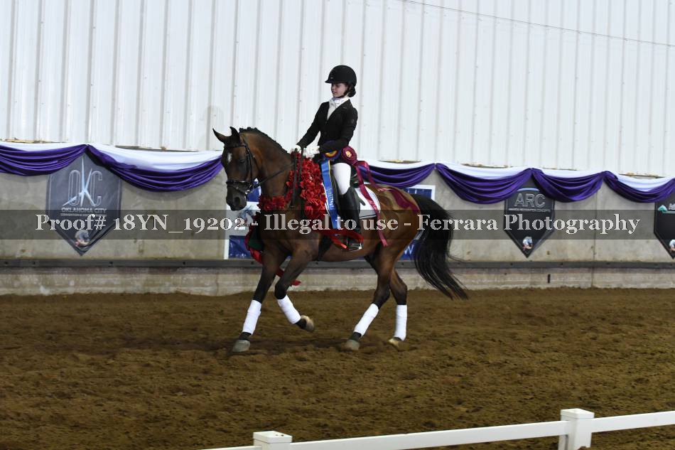 Proof 18YN_19202