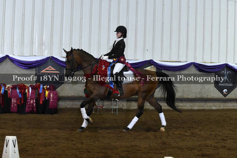 Proof 18YN_19203