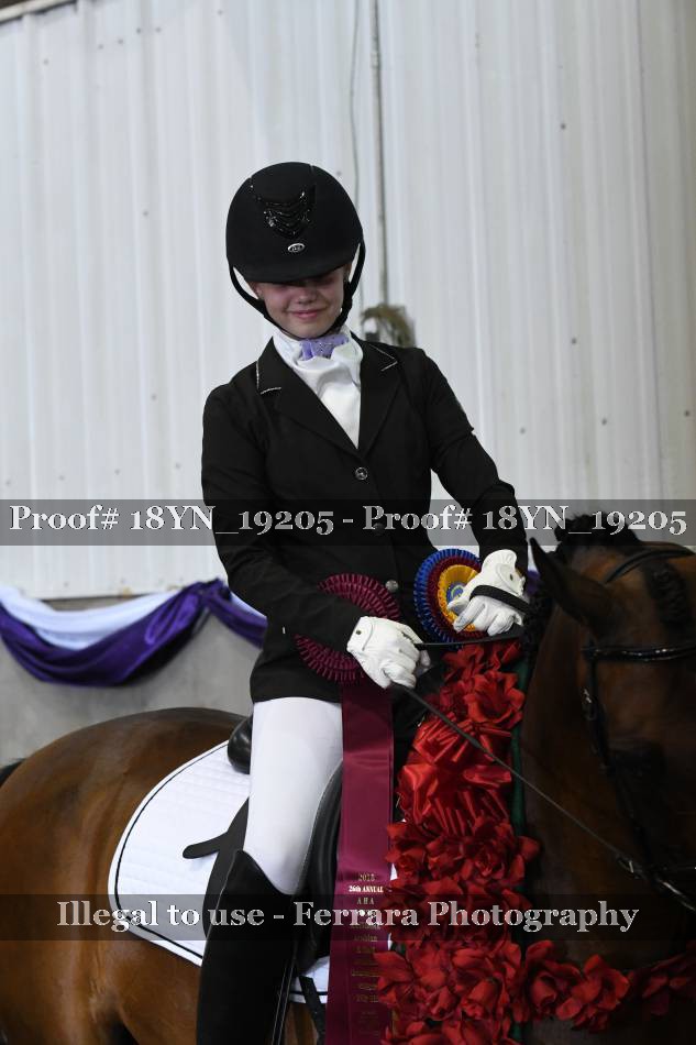 Proof 18YN_19205