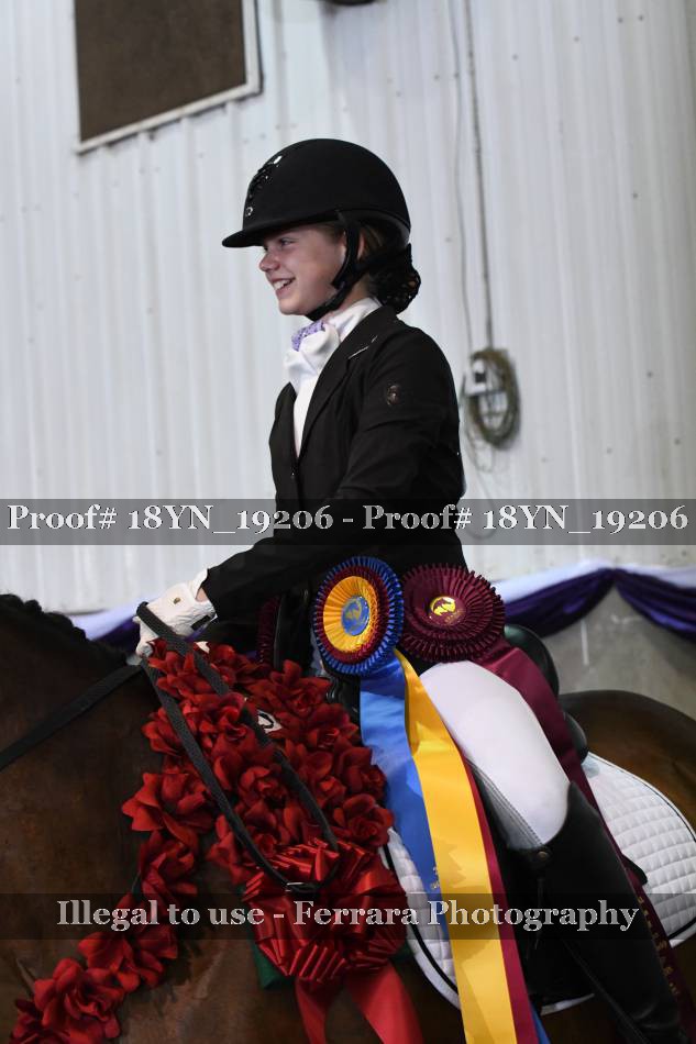 Proof 18YN_19206