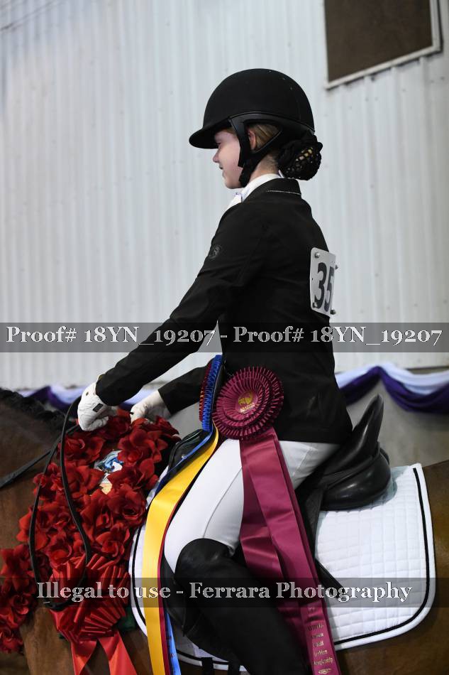 Proof 18YN_19207