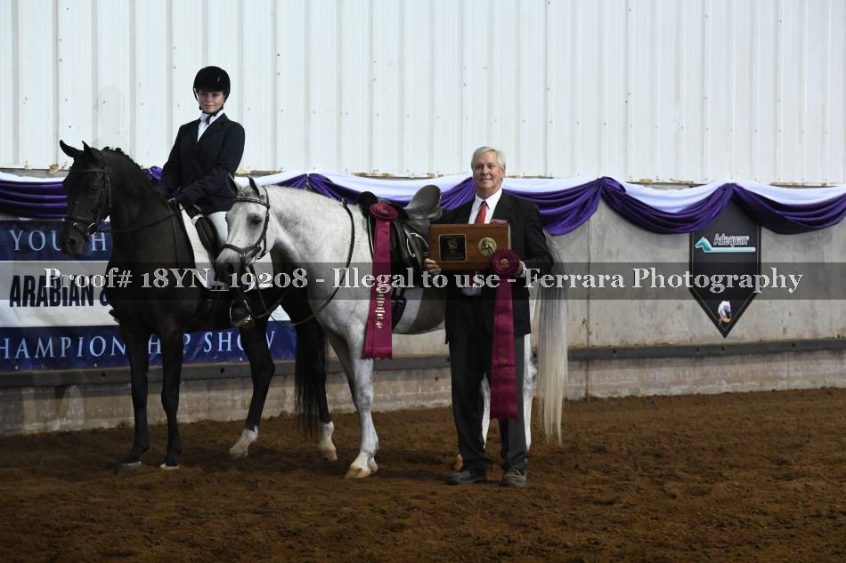 Proof 18YN_19208