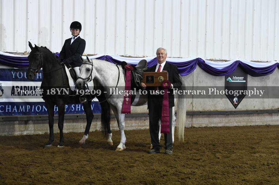 Proof 18YN_19209