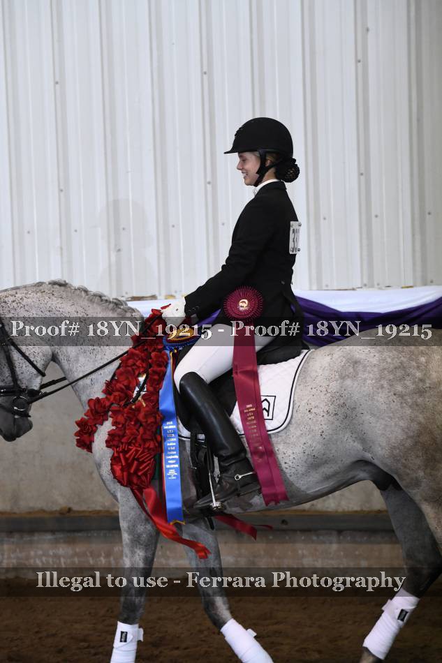 Proof 18YN_19215