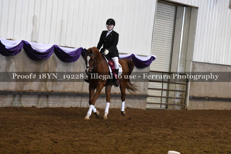 Proof 18YN_19228
