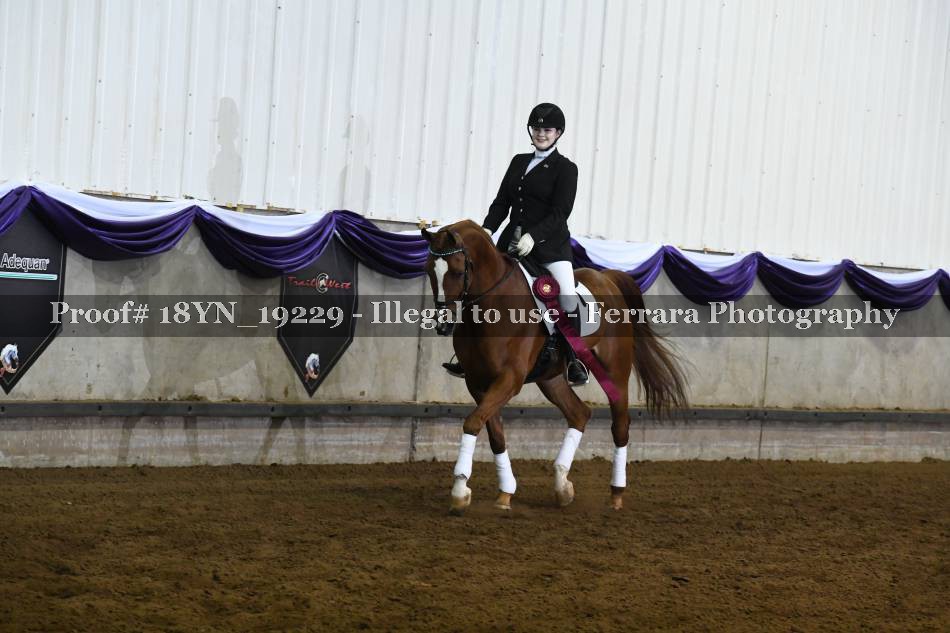 Proof 18YN_19229