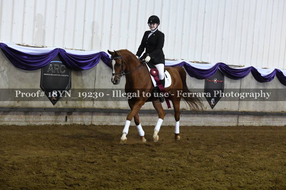 Proof 18YN_19230