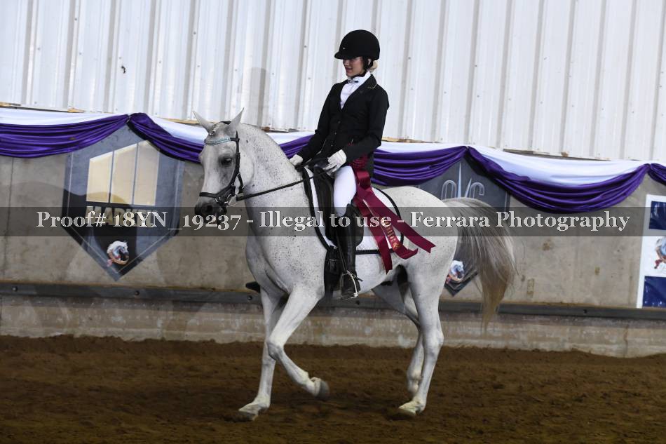 Proof 18YN_19237