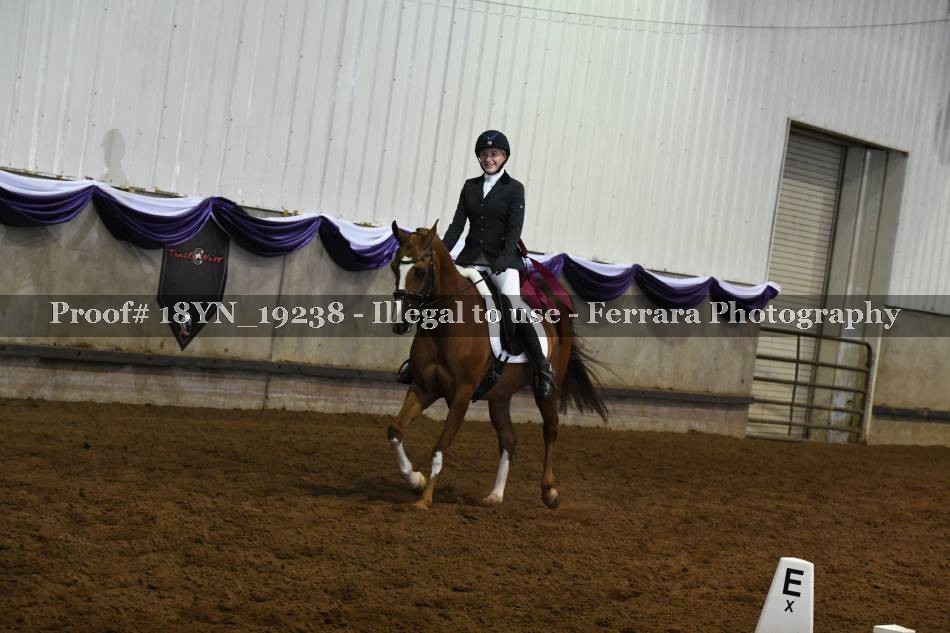 Proof 18YN_19238