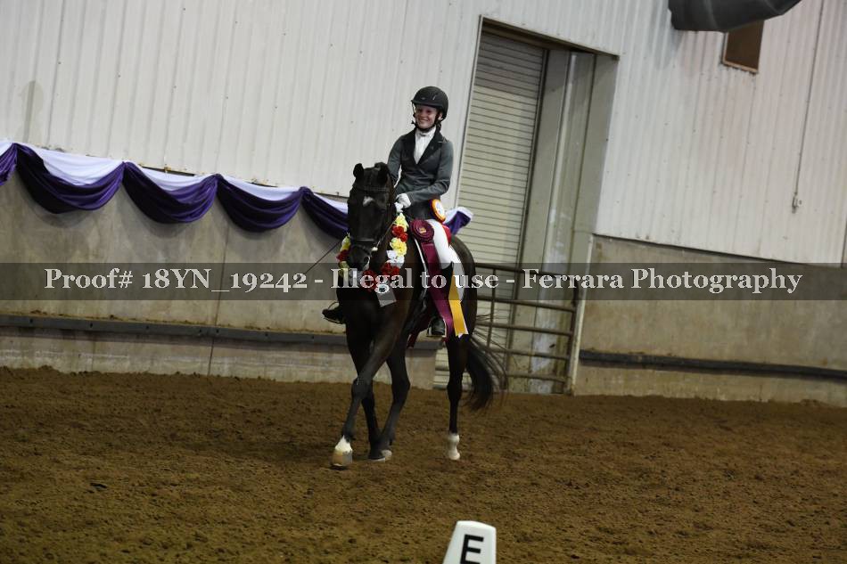 Proof 18YN_19242