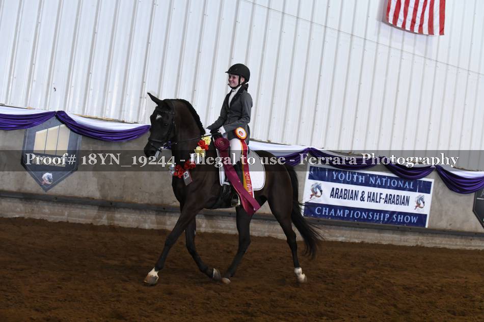 Proof 18YN_19244