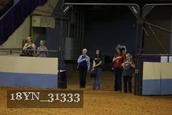 18YN_31333 proof