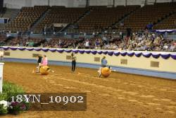 18YN_10902 proof