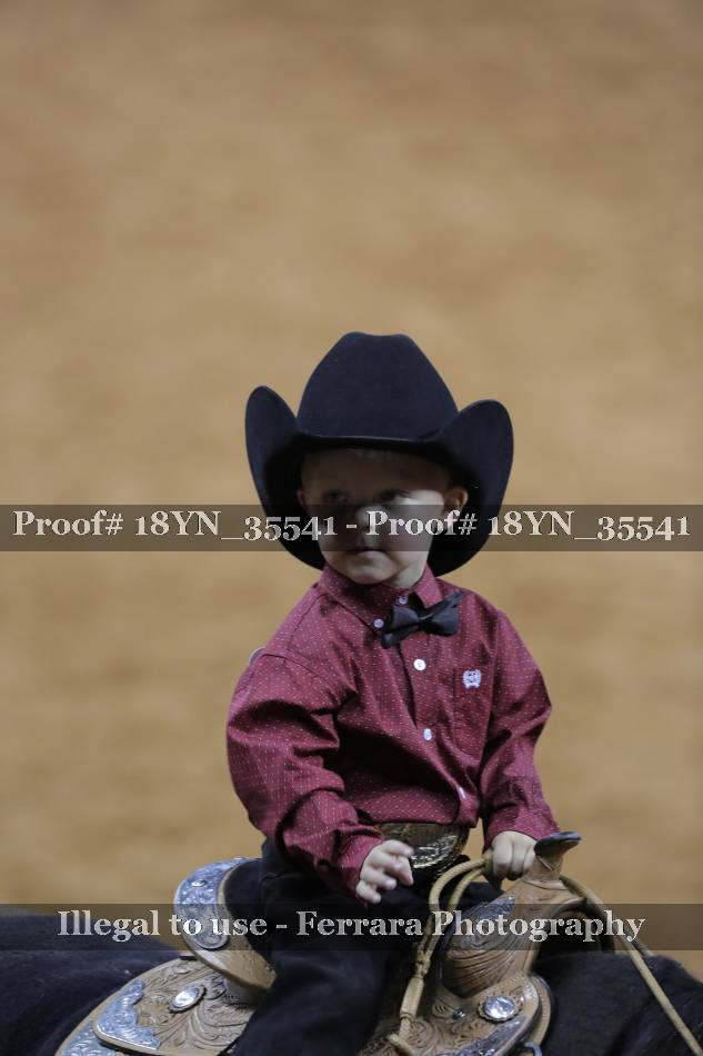 Proof 18YN_35541