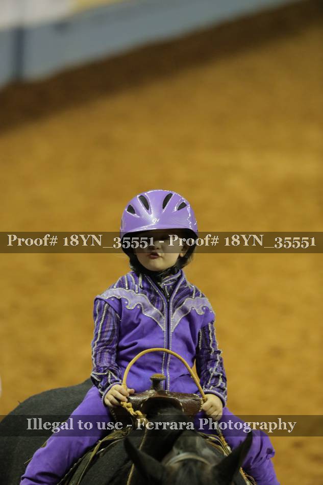 Proof 18YN_35551