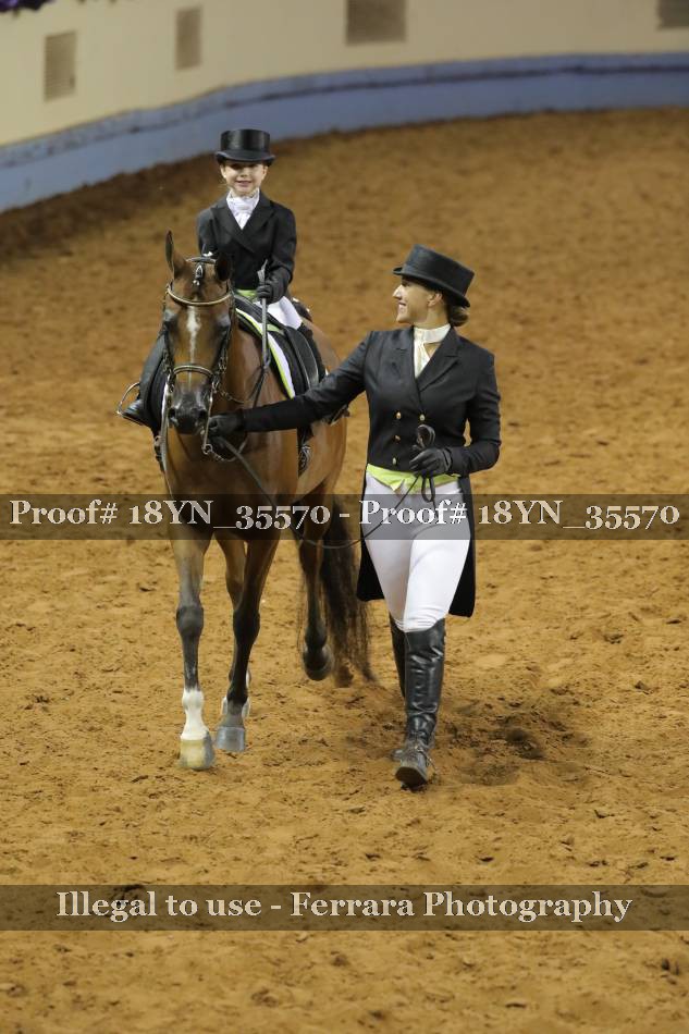 Proof 18YN_35570