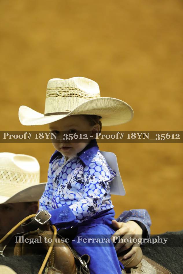 Proof 18YN_35612