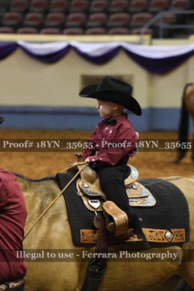 Proof 18YN_35655