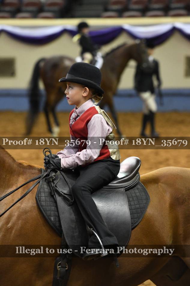 Proof 18YN_35679
