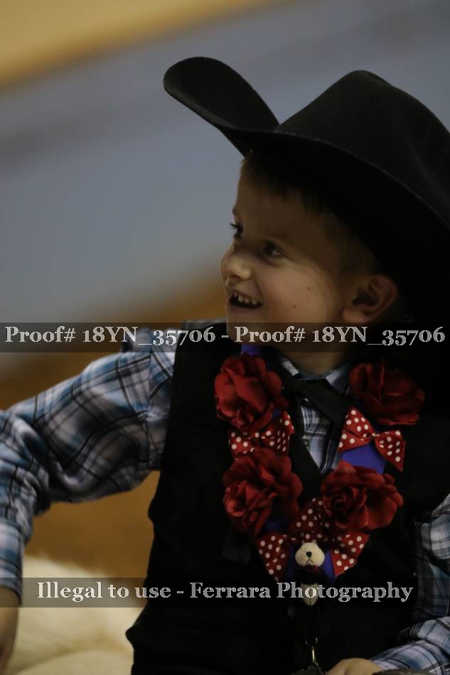 Proof 18YN_35706