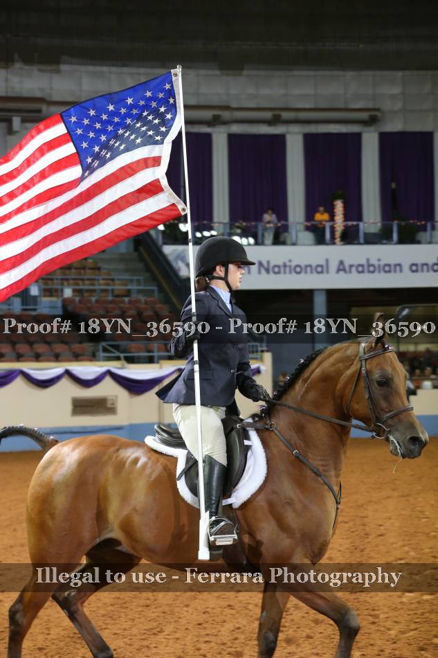 Proof 18YN_36590