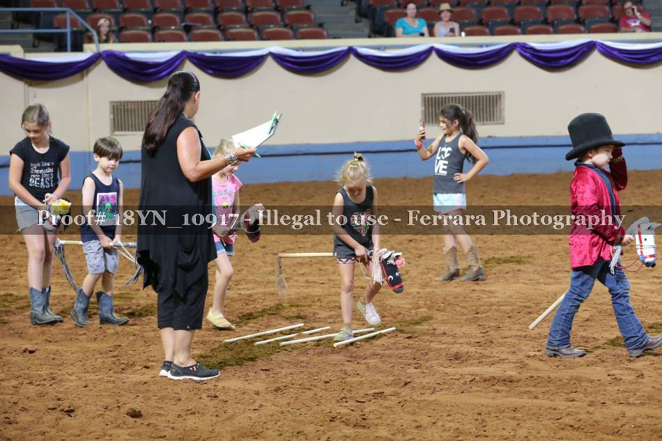 Proof 18YN_10917