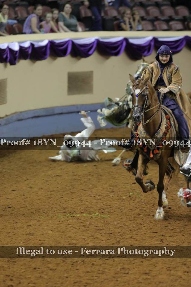 Proof 18YN_09944