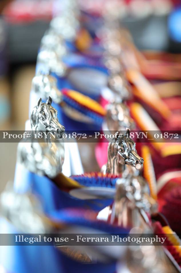 Proof 18YN_01872