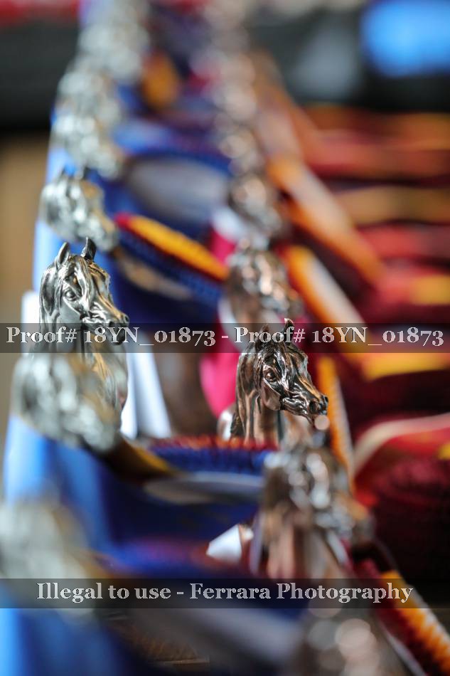 Proof 18YN_01873