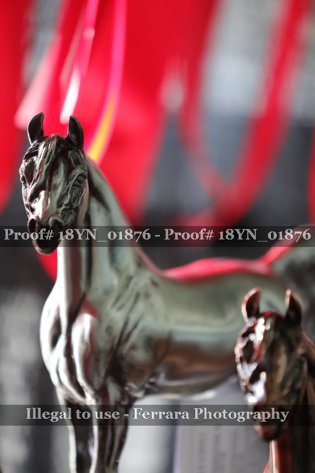 Proof 18YN_01876