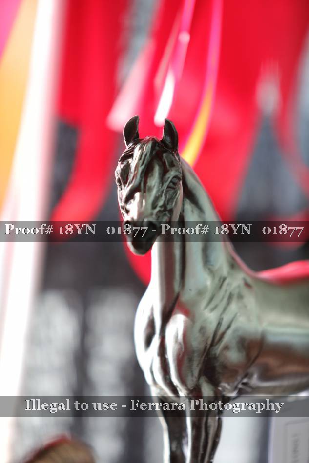 Proof 18YN_01877