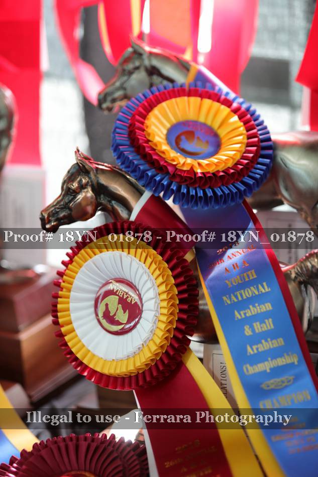 Proof 18YN_01878