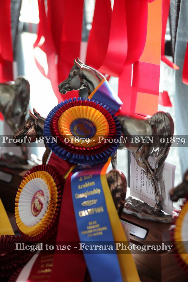 Proof 18YN_01879