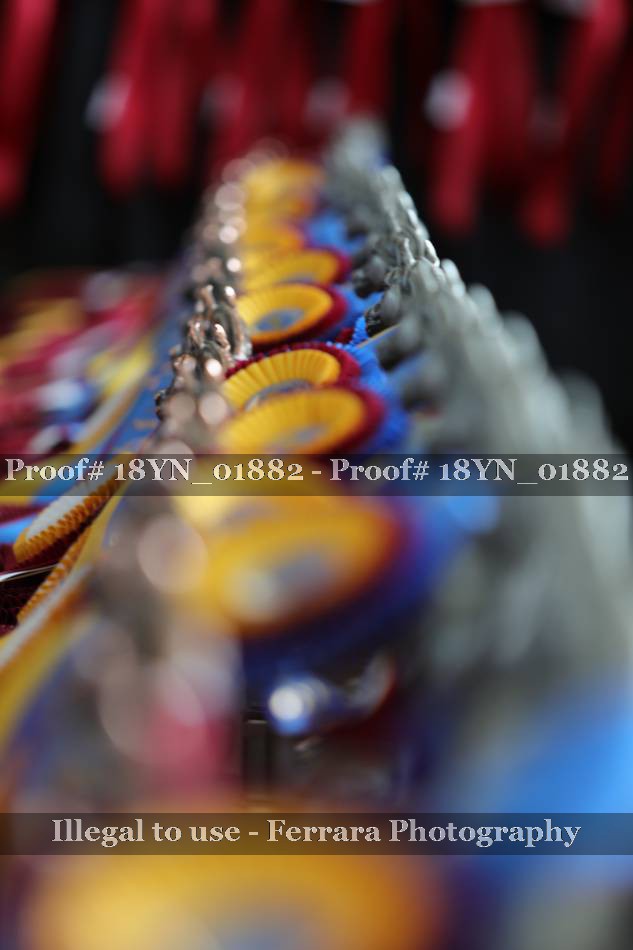 Proof 18YN_01882