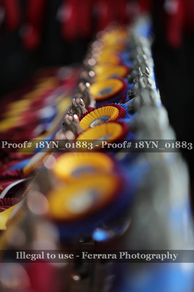 Proof 18YN_01883