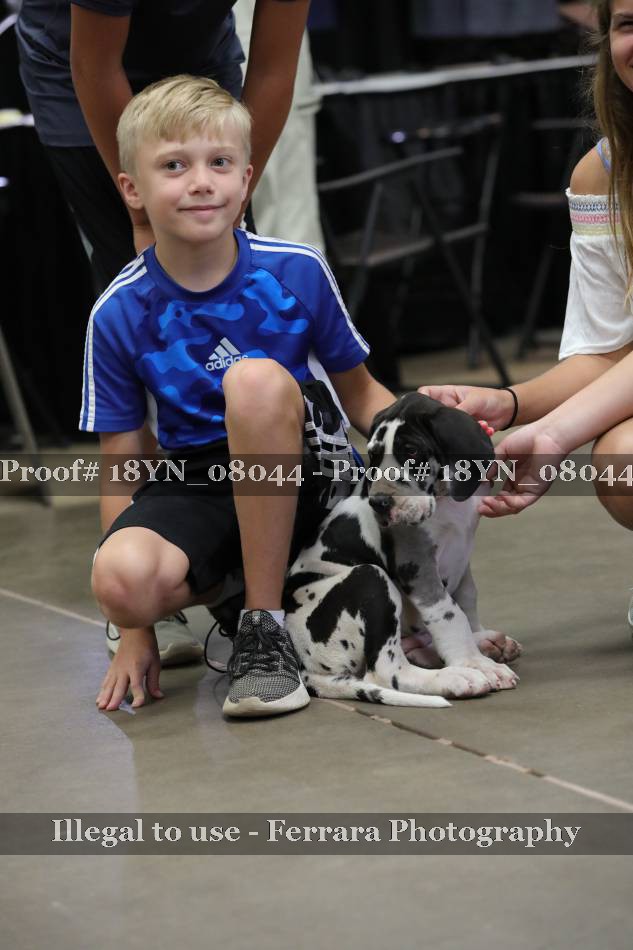 Proof 18YN_08044