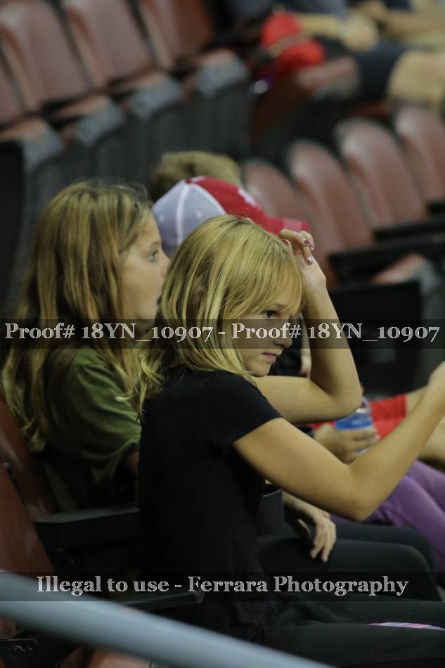 Proof 18YN_10907