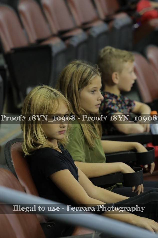 Proof 18YN_10908