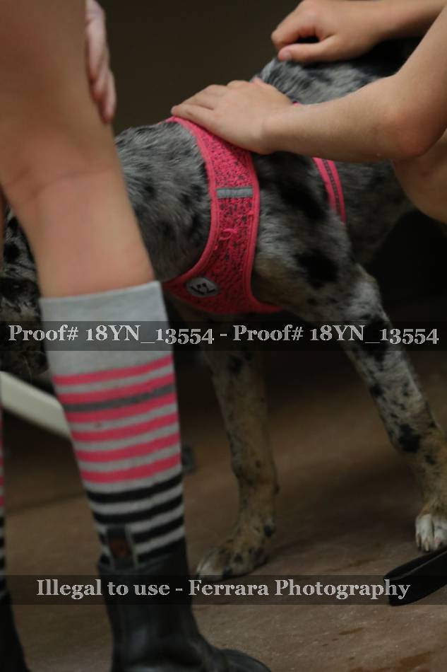 Proof 18YN_13554
