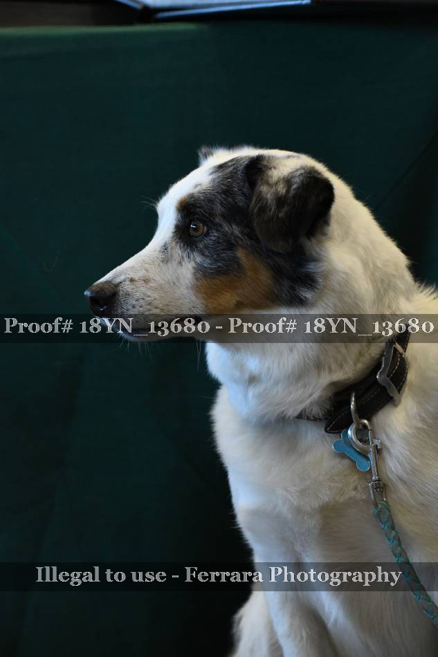 Proof 18YN_13680