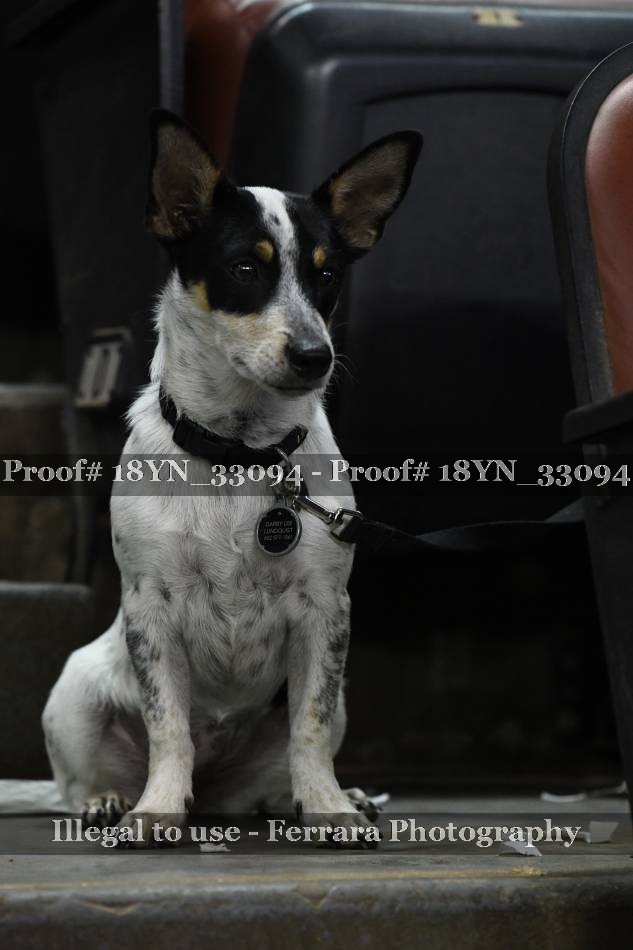 Proof 18YN_33094