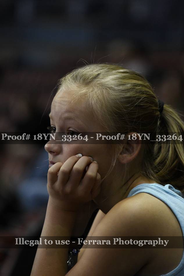 Proof 18YN_33264