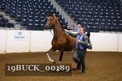 19BUCK_00189 proof