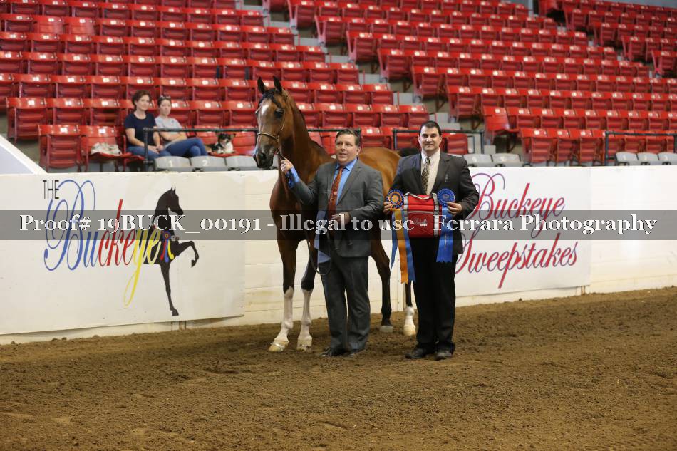 Proof 19BUCK_00191