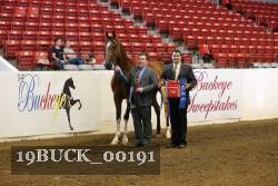 19BUCK_00191 proof